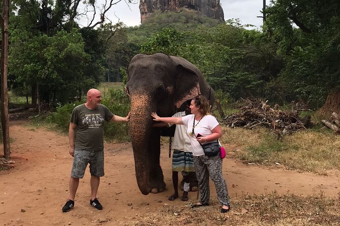 8 Days Private Guided Tour in Sri Lanka with accommodation (BB) - Day 1: Sigiriya and the climb to Lion Rock
