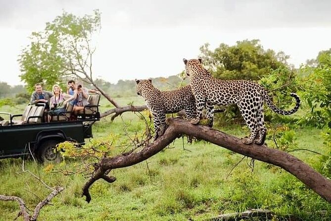 8 Days Private Guided Tour in Sri Lanka with accommodation (BB) - Day 6: Six hours at Yala National Park