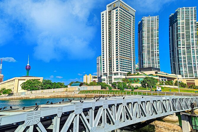 8 Days Sri Lanka Private Round Tour - The Nanu Oya to Ella train ride