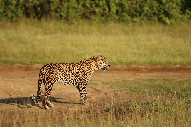 8 Days tour in Sri Lanka with privet driver and accommodations - Day 5: Waterfalls, Buduruwagala, and a National Park
