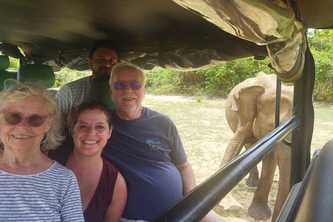 9-Day Sri Lanka Adventure with Local Guide - Day 8: whales, dolphins, and Mirissa beach