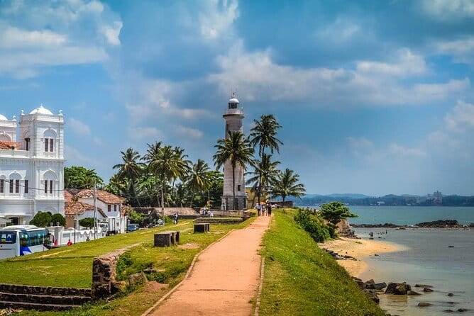 9 Days Guided Tour Through Sri Lanka - Day two: fish markets and Dambulla’s painted caves