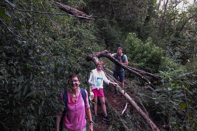 A Day in Nuwara Eliya: Sights & Local Delights - Why this Nuwara Eliya outing feels different