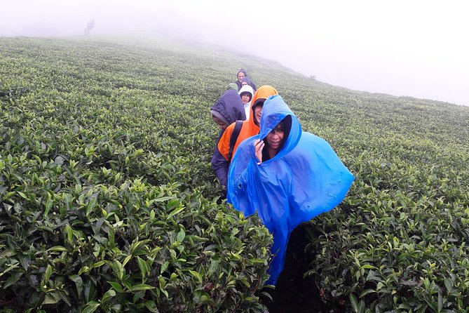 A Day in Nuwara Eliya: Sights & Local Delights - Horton Plains National Park and Galway’s Land