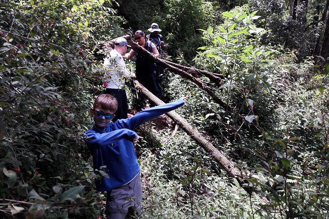 A Day in Nuwara Eliya: Sights & Local Delights - Transport, timing, and what to carry