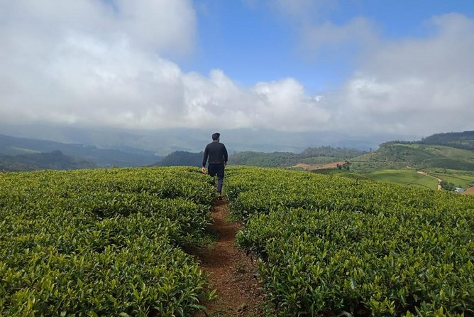 A Day in Nuwara Eliya: Sights & Local Delights - The tea-field hike: from Sri Lanka’s high village downhill