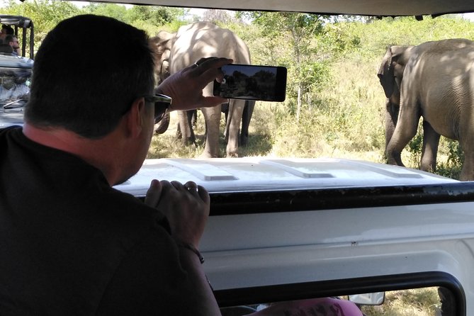 A Udawalawa Park safari, Tour from Colombo/Galle- (All inclusive) - Why Udawalawe works as a one-day wildlife trip
