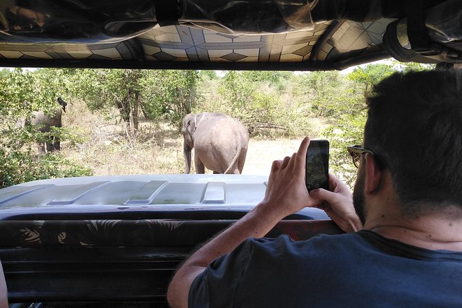 A Udawalawa Park safari, Tour from Colombo/Galle- (All inclusive) - Lunch, park fees, and what the $195 price covers