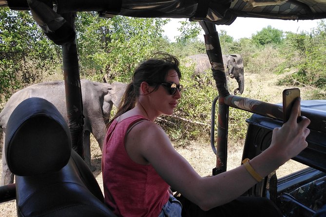 A Udawalawa Park safari, Tour from Colombo/Galle- (All inclusive) - How the private format changes the day