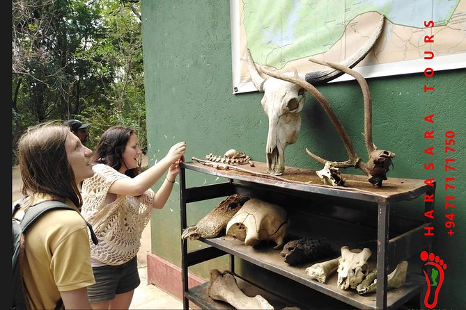 A Udawalawa Park safari, Tour from Colombo/Galle- (All inclusive) - Is the Udawalawe day trip worth booking?