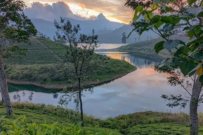 Adam’s Peak Night Hike Experience [One Day & ALL INCLUSIVE] - Seven kilometers and 5,500 steps to Sri Pada