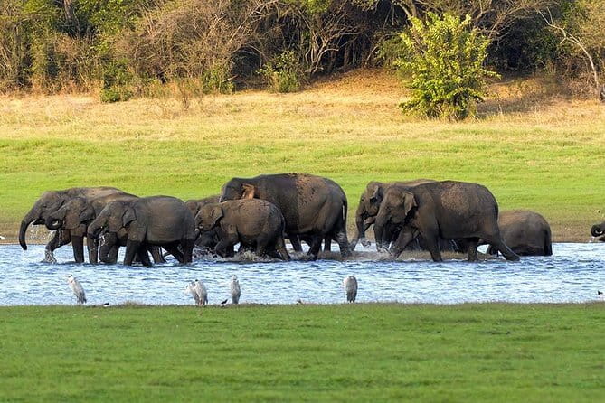 Adventure safari Experience in Hurulu Eco Park, Sri Lanka - What the private jeep adds