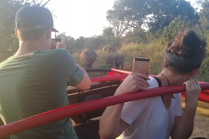 Adventure trincomalee to sigiriya and wild safari ,village tour - Pidurangala and the second climb