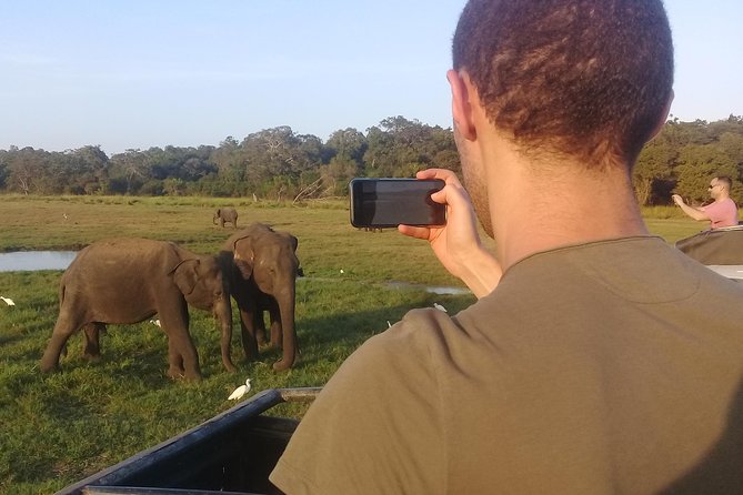 Adventure trincomalee to sigiriya and wild safari ,village tour - The elephant safari at Minneriya or Kaudulla