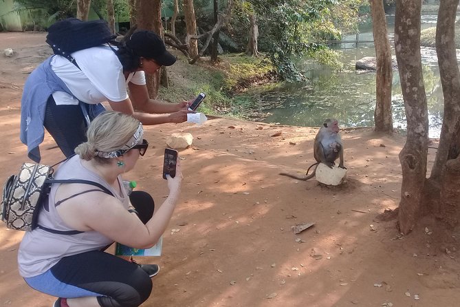 Adventure trincomalee to sigiriya and wild safari ,village tour - What the guide adds to the day