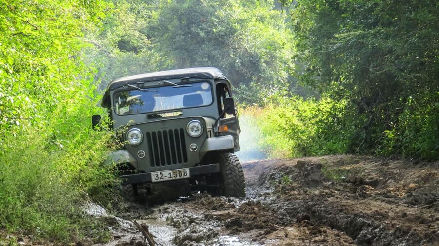 Ahangama: Udawalawe National Park Safari with Hotel Pickup - What the safari feels like in practical terms