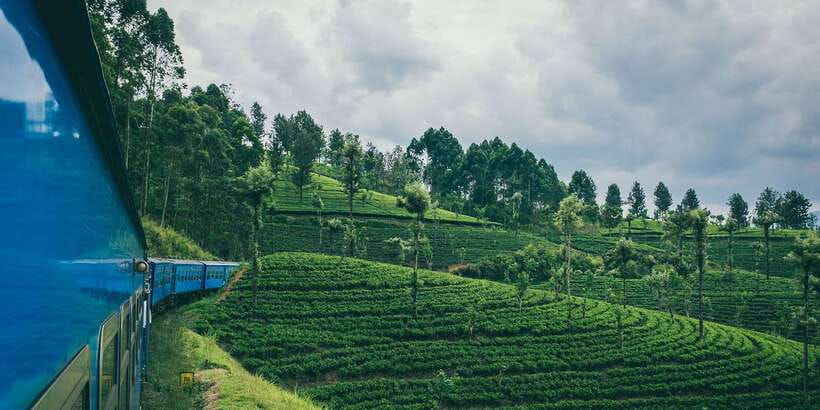 All Inclusive Ella From/To Kandy Scenic Train Journey - Key points before you pay