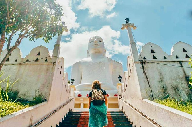 All Inclusive Kandy Private Day Tour From Colombo and Negombo - Udawattakele Forest Reserve