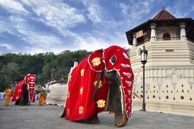 All Inclusive Kandy Private Day Tour From Colombo and Negombo - Hilltop Buddha and Kandy View Point