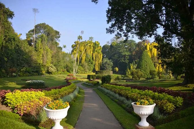 All Inclusive Kandy Private Day Tour From Colombo and Negombo - New Ranweli Spice Garden