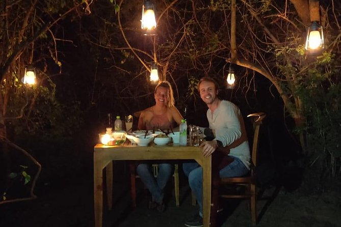 All Inclusive Leopard Nest Treehouse Safari in Yala - Accommodation, food, and comfort expectations