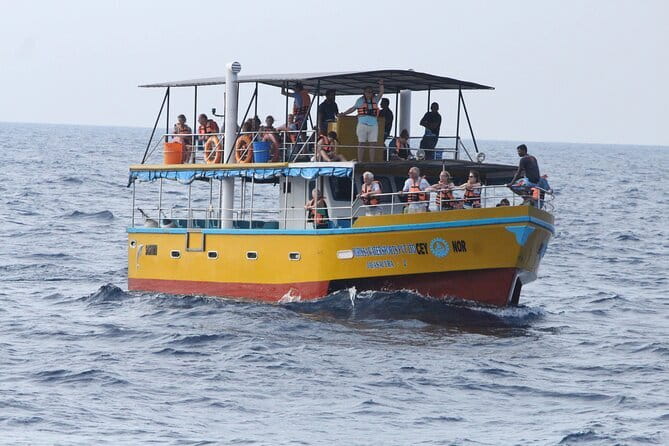 All Inclusive Mirissa Whale and Dolphin Watching Boat Ride - Key points before you book