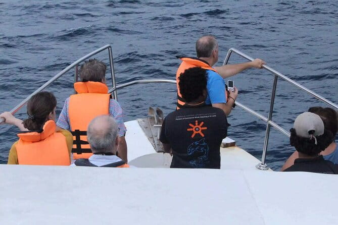 All Inclusive Mirissa Whale and Dolphin Watching Boat Ride - Leaving Mirissa Harbour at 6:00 am