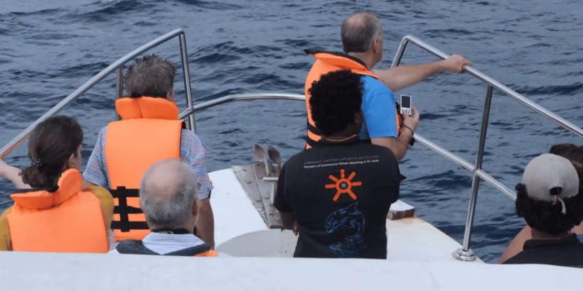 All Inclusive Mirissa Whale and Dolphin Watching Boat Ride - Booking, weather, and cancellation advice