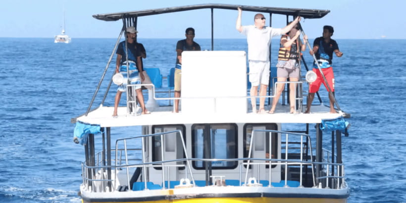 All Inclusive Mirissa Whale & Dolphin Watching + Snorkeling - Dolphins and the long boat ride