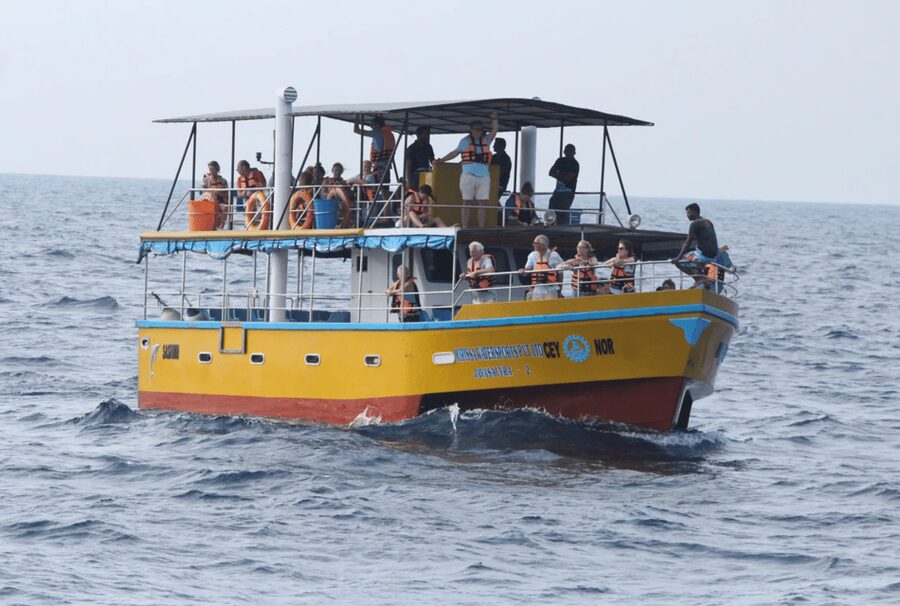 All Inclusive Mirissa Whale & Dolphin Watching + Snorkeling - Safety, weather, and responsible wildlife viewing