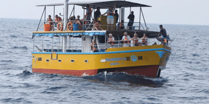 All Inclusive Mirissa Whale & Dolphin Watching + Snorkeling - Whale watching on the open Indian Ocean