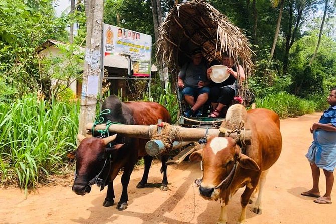 All inclusive Private Day tour Sigiriya, Dambulla & traditional village tour - Traditional cooking and a village safari