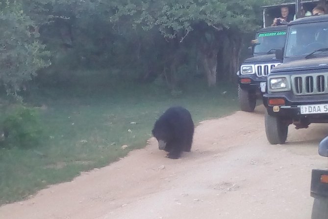 All inclusive Private jeep safari at Yala National park - Key points at a glance