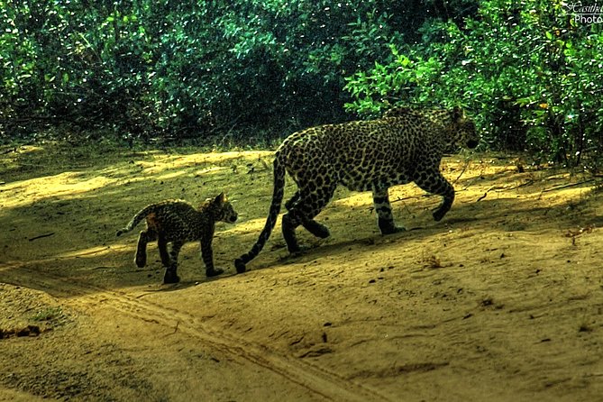 All inclusive Private safari at Wilpattu National park from Negombo - The salt-processing stop near the end