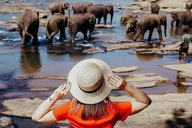 All-Inclusive Private tour in Sri Lankan Island 9 Day HB hotels - Key points at a glance