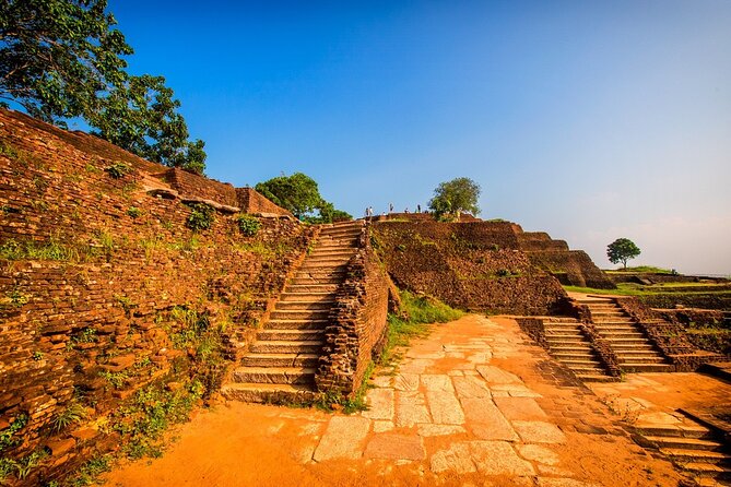 All-inclusive Sigiriya, Dambulla and Wildlife Safari from Colombo - Hurulu Eco Park: three hours in a safari jeep