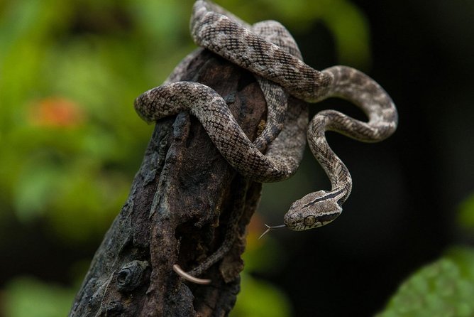 All Inclusive Udawalawa National Park Day Tour From Negombo - Who will enjoy this most