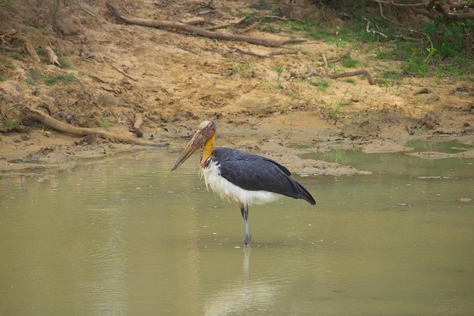 All Inclusive Yala National Park Jeep Safari from Colombo - Entering Yala’s forests, scrub, and lagoons