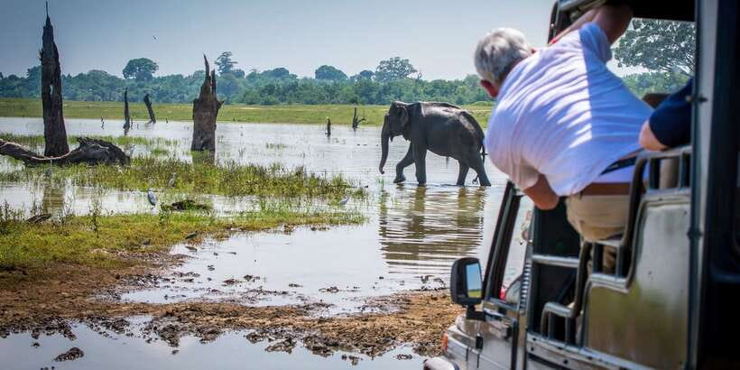 All inclussive Udawalawa National Park Safari From Colombo - Lunch at a local hotel, at your own cost