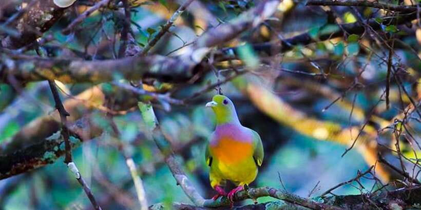 Anuradhapura: Full-Day Wilpattu All Inclusive Private Safari - Entering Sri Lanka’s largest national park