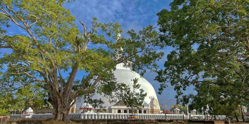 Anuradhapura Private Ancient City Day Tour - Starting in Anuradhapura by tuk-tuk