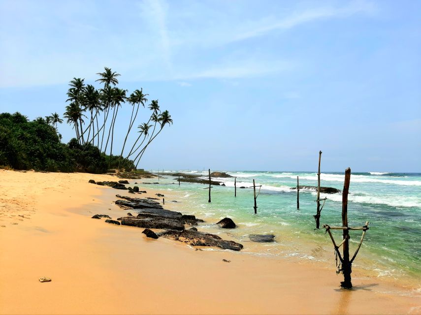 Bentota beach, River Mangroves lagoon, Wildlife Tour - Herbs, spices, and traditional plant knowledge