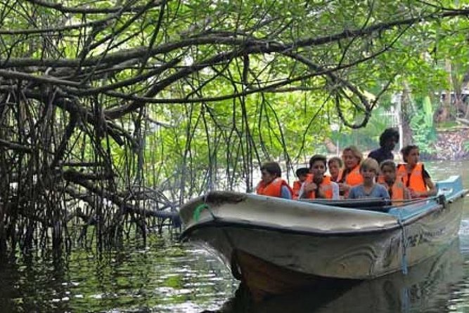 Bentota River Boat Safari with Private Boat Beruwala/Bentota/Kosgoda/Ahungalla - Guides, wildlife spotting, and language support