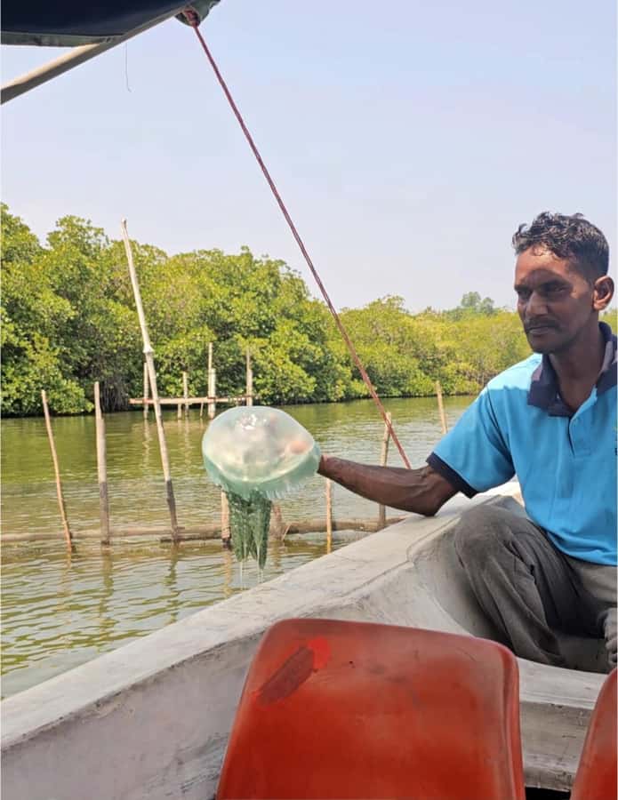 Bentota River Safari -Ahungalla/Bentota/Aluthgama/Kosgoda - Key points before you book