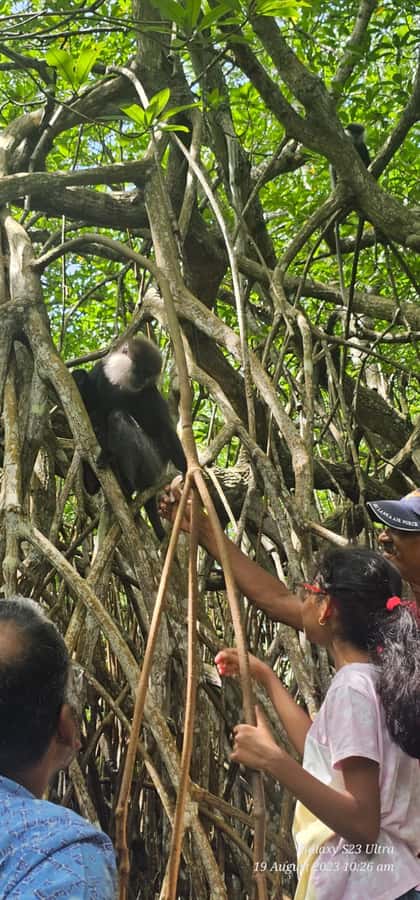 Bentota River Safari -Ahungalla/Bentota/Aluthgama/Kosgoda - Is $80 per person fair value?