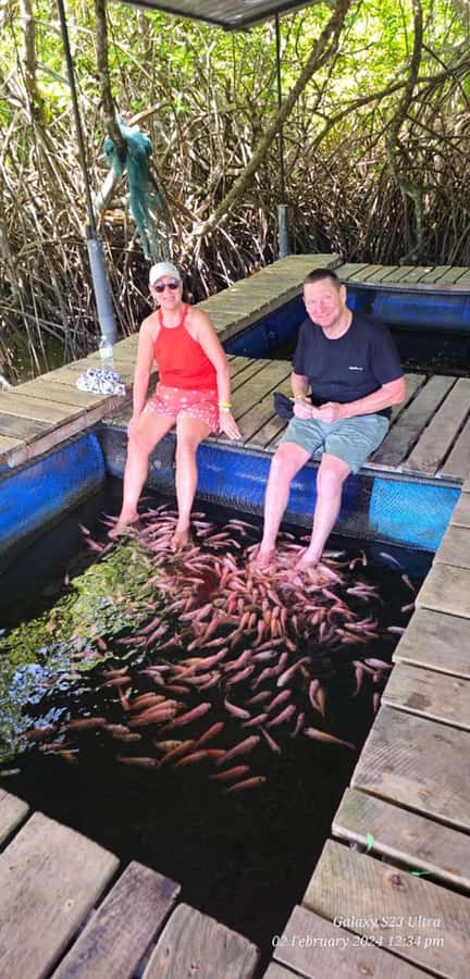 Bentota River Safari -Ahungalla/Bentota/Aluthgama/Kosgoda - Who should book this Bentota boat trip?