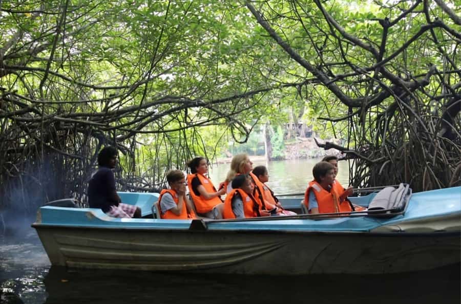 Bentota River Safari -Ahungalla/Bentota/Aluthgama/Kosgoda - Pickup from seven coastal locations