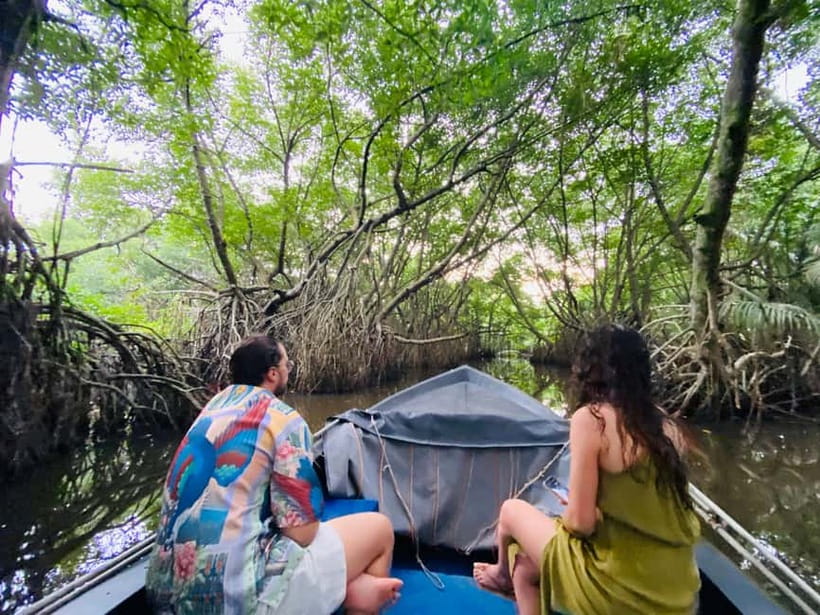 Bentota River Safari: Discover Wildlife & Mangroves by Boat - A private boat gives you room to pause
