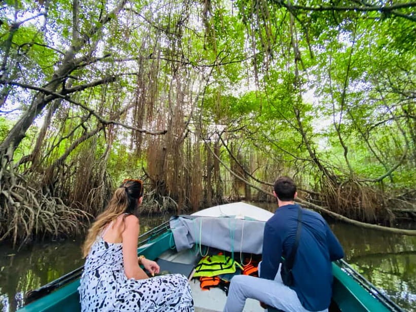 Bentota River Safari: Discover Wildlife & Mangroves by Boat - Practical preparation for the boat