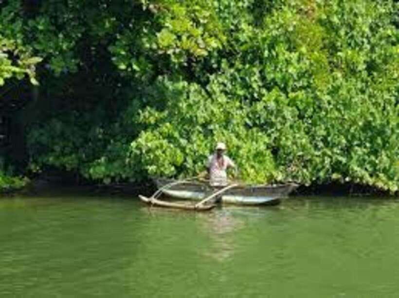 Bentota: River Safari with Hotel Pickup and Drop-Off - Why the Bentota River feels different from the beach